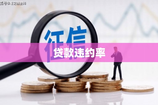 巴东贷款违约率