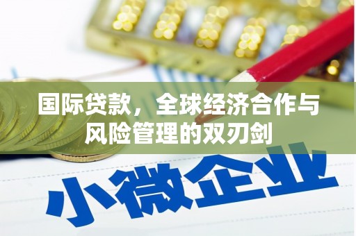 巴东国际贷款，全球经济合作与风险管理的双刃剑