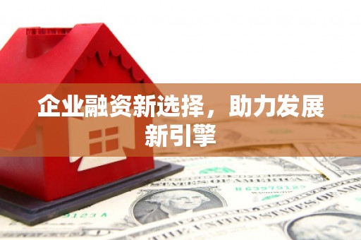 巴东企业融资新选择，助力发展新引擎