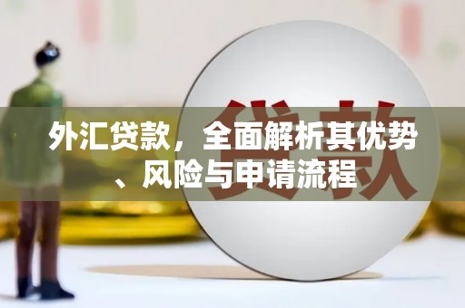 巴东外汇贷款，全面解析其优势、风险与申请流程