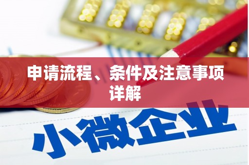 巴东申请流程、条件及注意事项详解