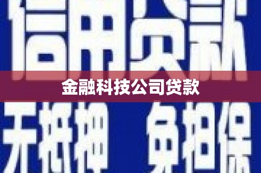 巴东金融科技公司贷款