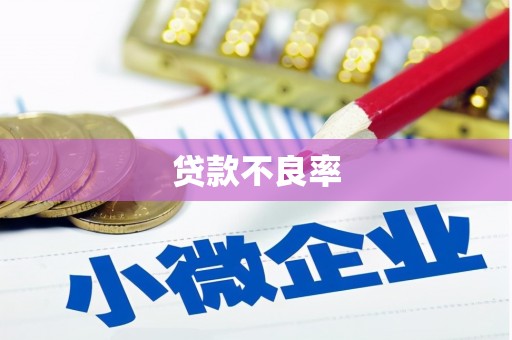 巴东贷款不良率