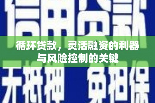 巴东循环贷款，灵活融资的利器与风险控制的关键