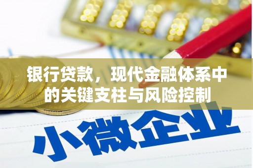 巴东银行贷款，现代金融体系中的关键支柱与风险控制