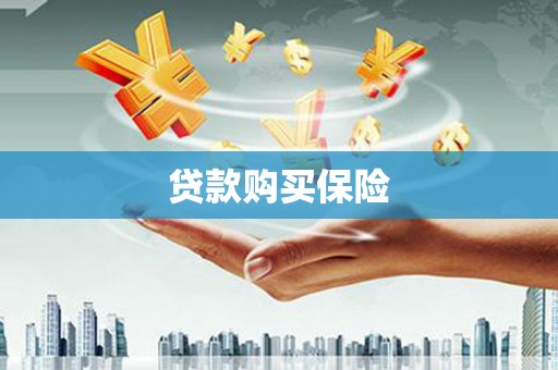 巴东贷款购买保险