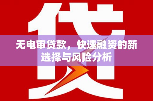 巴东无电审贷款，快速融资的新选择与风险分析