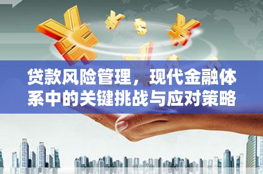 巴东贷款风险管理，现代金融体系中的关键挑战与应对策略