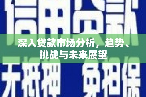 巴东深入贷款市场分析，趋势、挑战与未来展望