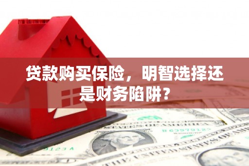 巴东贷款购买保险，明智选择还是财务陷阱？
