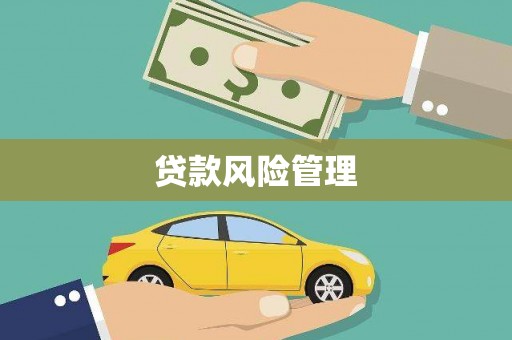 巴东贷款风险管理