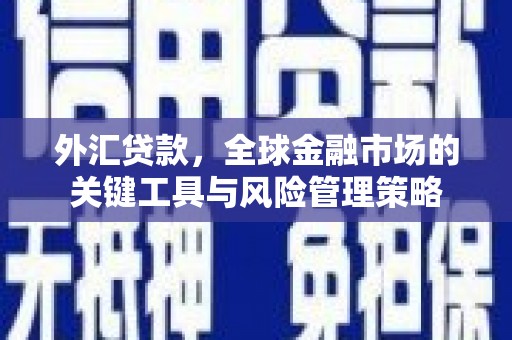 巴东外汇贷款，全球金融市场的关键工具与风险管理策略