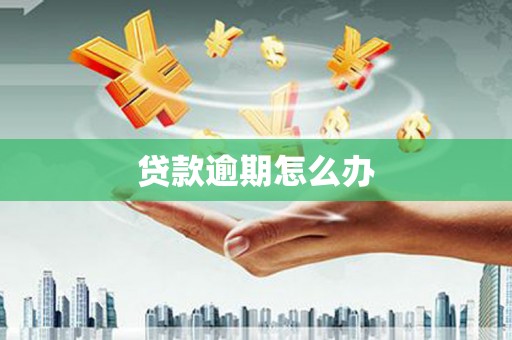 巴东贷款逾期怎么办