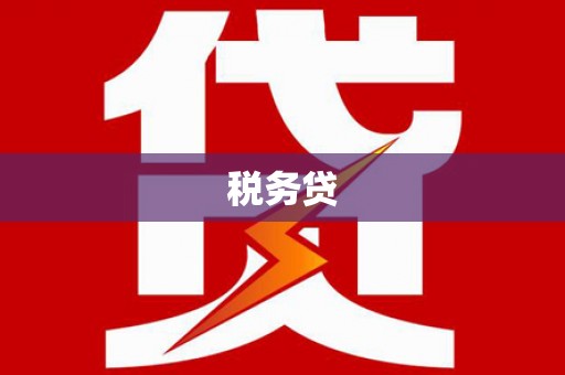 巴东税务贷