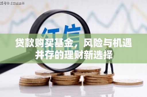 巴东贷款购买基金，风险与机遇并存的理财新选择