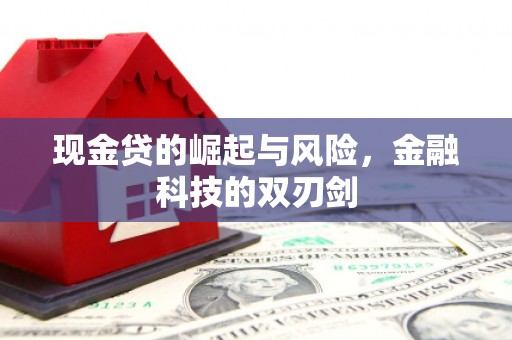 巴东现金贷的崛起与风险，金融科技的双刃剑