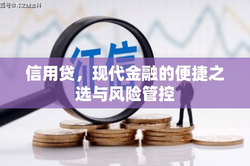 巴东信用贷，现代金融的便捷之选与风险管控