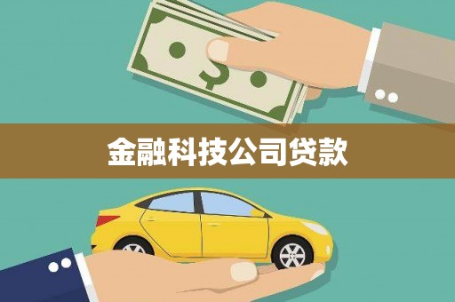 巴东金融科技公司贷款