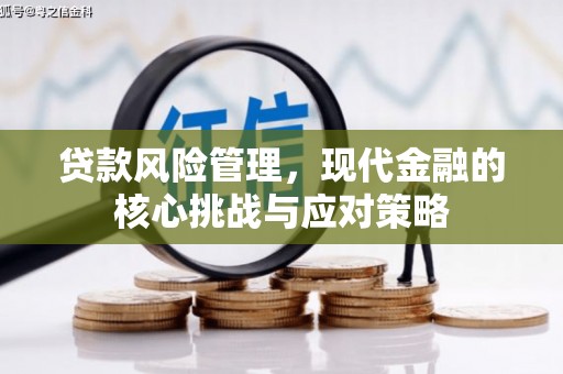 巴东贷款风险管理，现代金融的核心挑战与应对策略