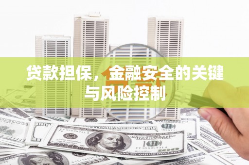 巴东贷款担保，金融安全的关键与风险控制