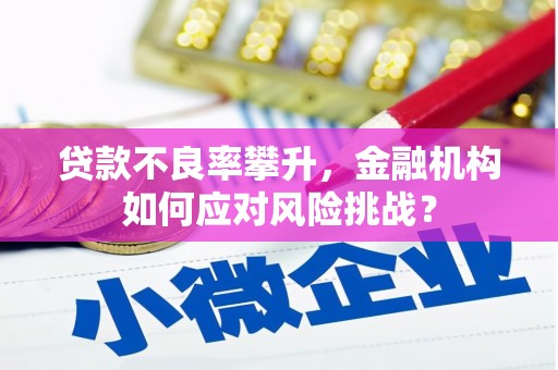 巴东贷款不良率攀升，金融机构如何应对风险挑战？