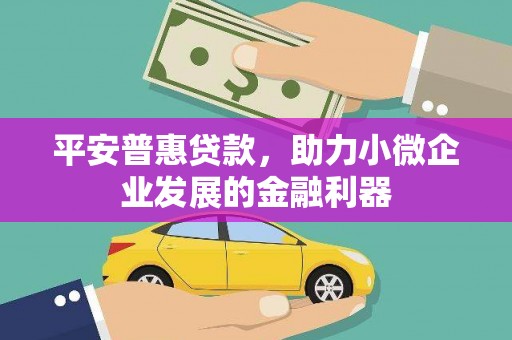 巴东平安普惠贷款，助力小微企业发展的金融利器