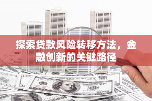 巴东探索贷款风险转移方法，金融创新的关键路径