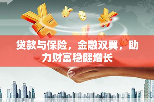 巴东贷款与保险，金融双翼，助力财富稳健增长
