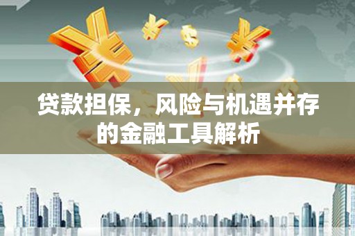 巴东贷款担保，风险与机遇并存的金融工具解析