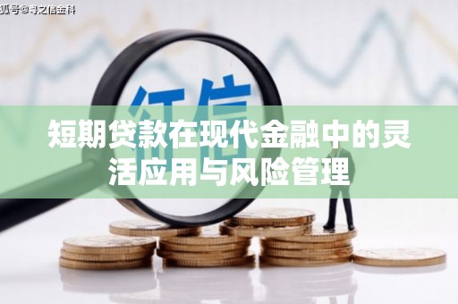 巴东短期贷款在现代金融中的灵活应用与风险管理