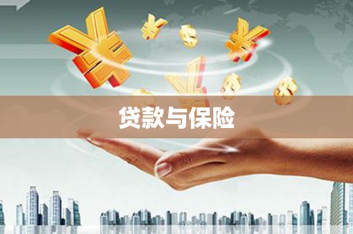 巴东贷款与保险