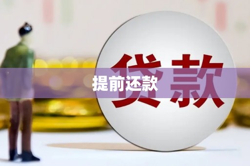 巴东提前还款