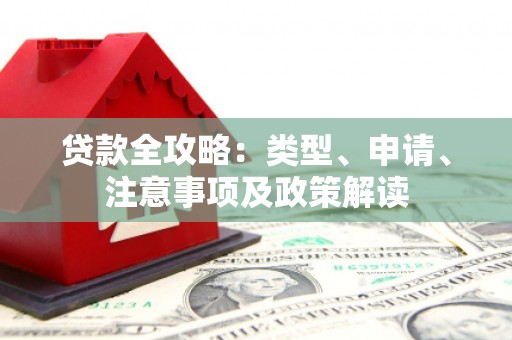 巴东贷款全攻略：类型、申请、注意事项及政策解读
